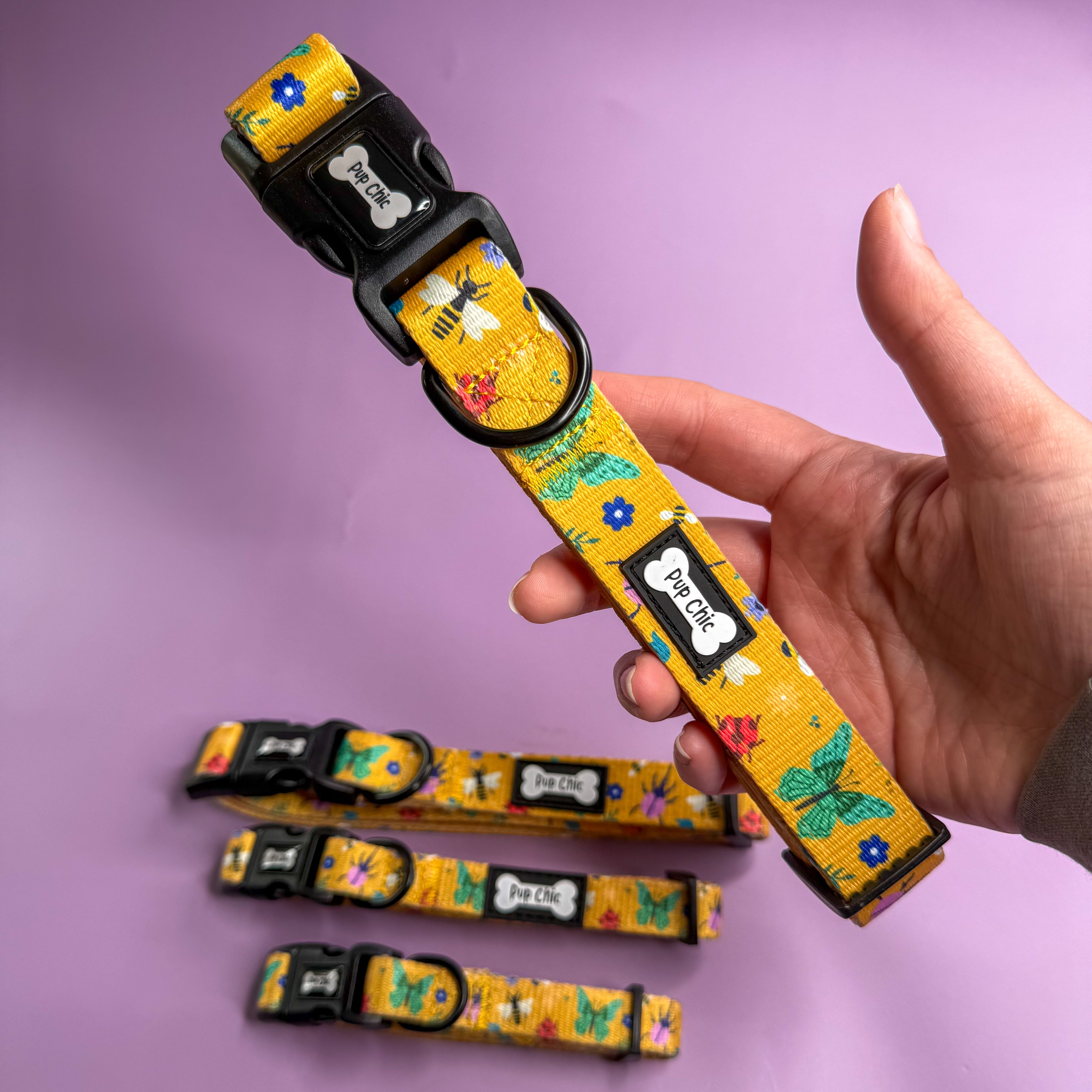 Summer Buzzin’ Dog Collar | Shop Brit | UK Pet Shop | 