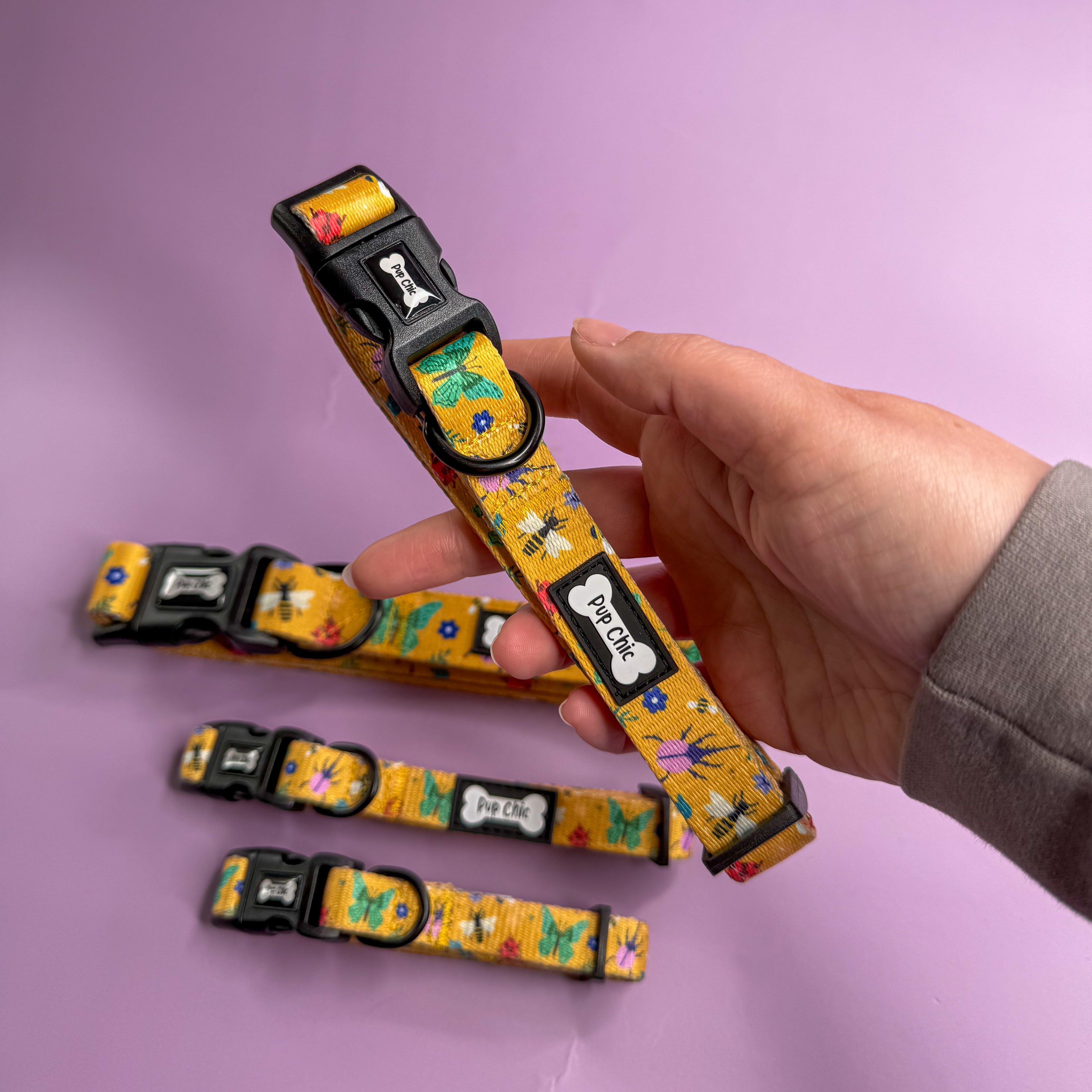 Summer Buzzin’ Dog Collar | Shop Brit | UK Pet Shop | 