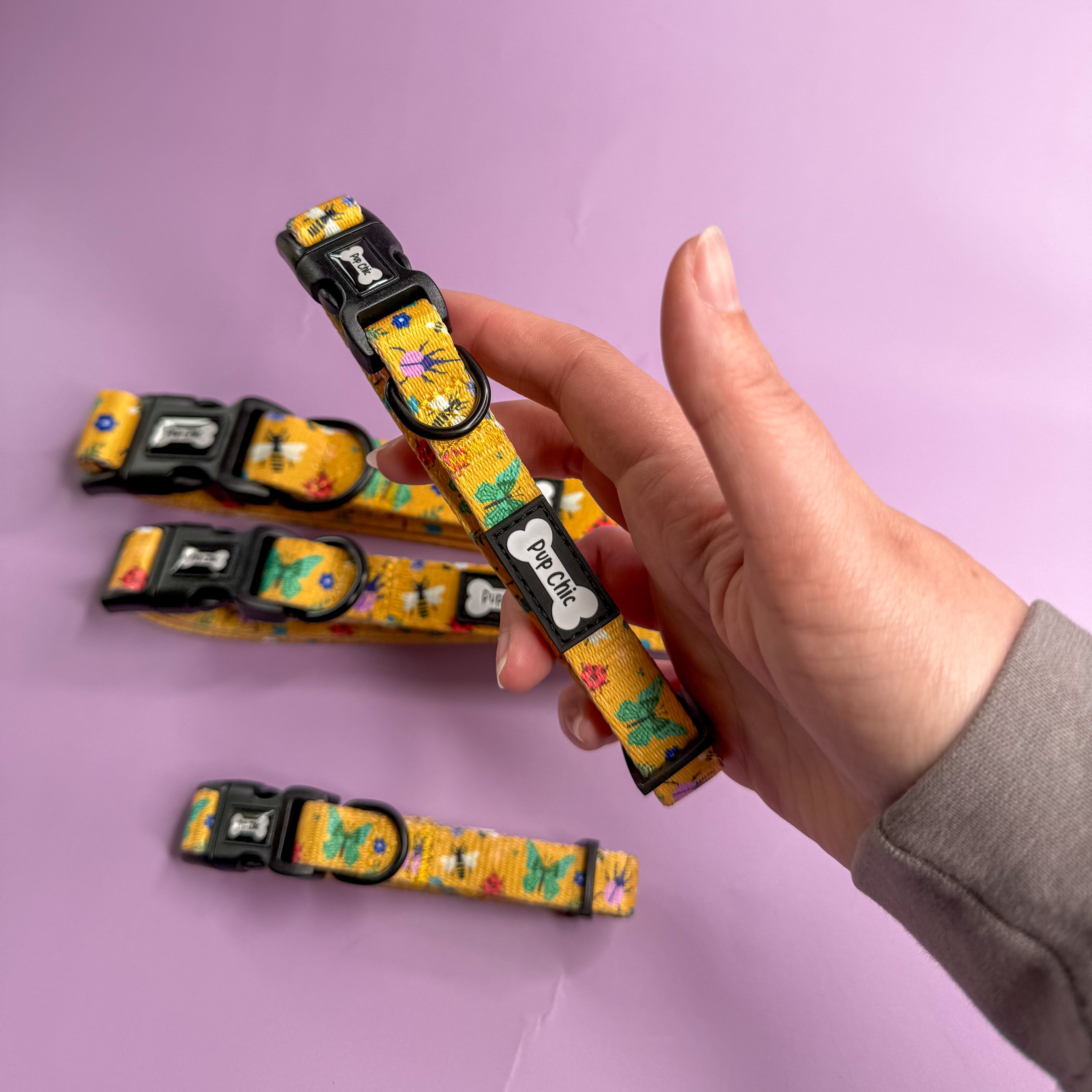 Summer Buzzin’ Dog Collar | Shop Brit | UK Pet Shop | 