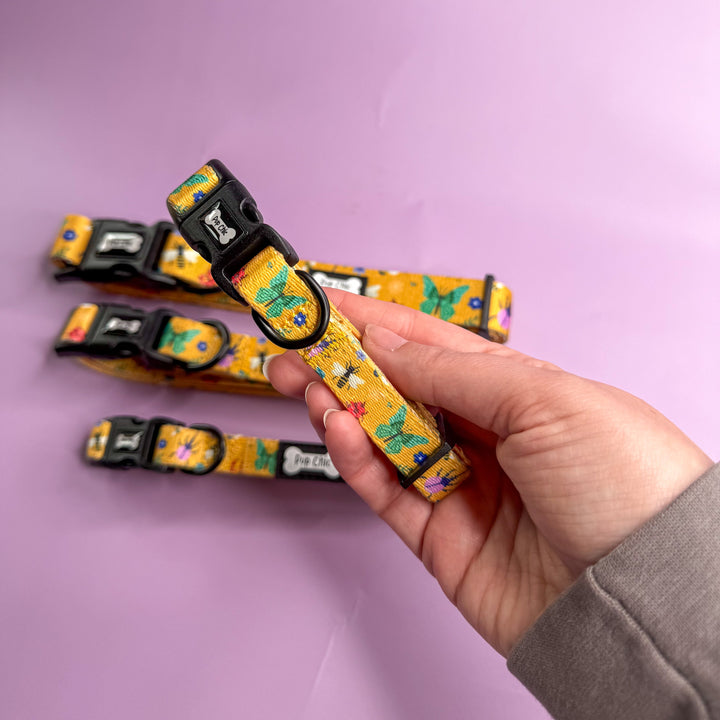 Summer Buzzin’ Dog Collar | Shop Brit | UK Pet Shop | 