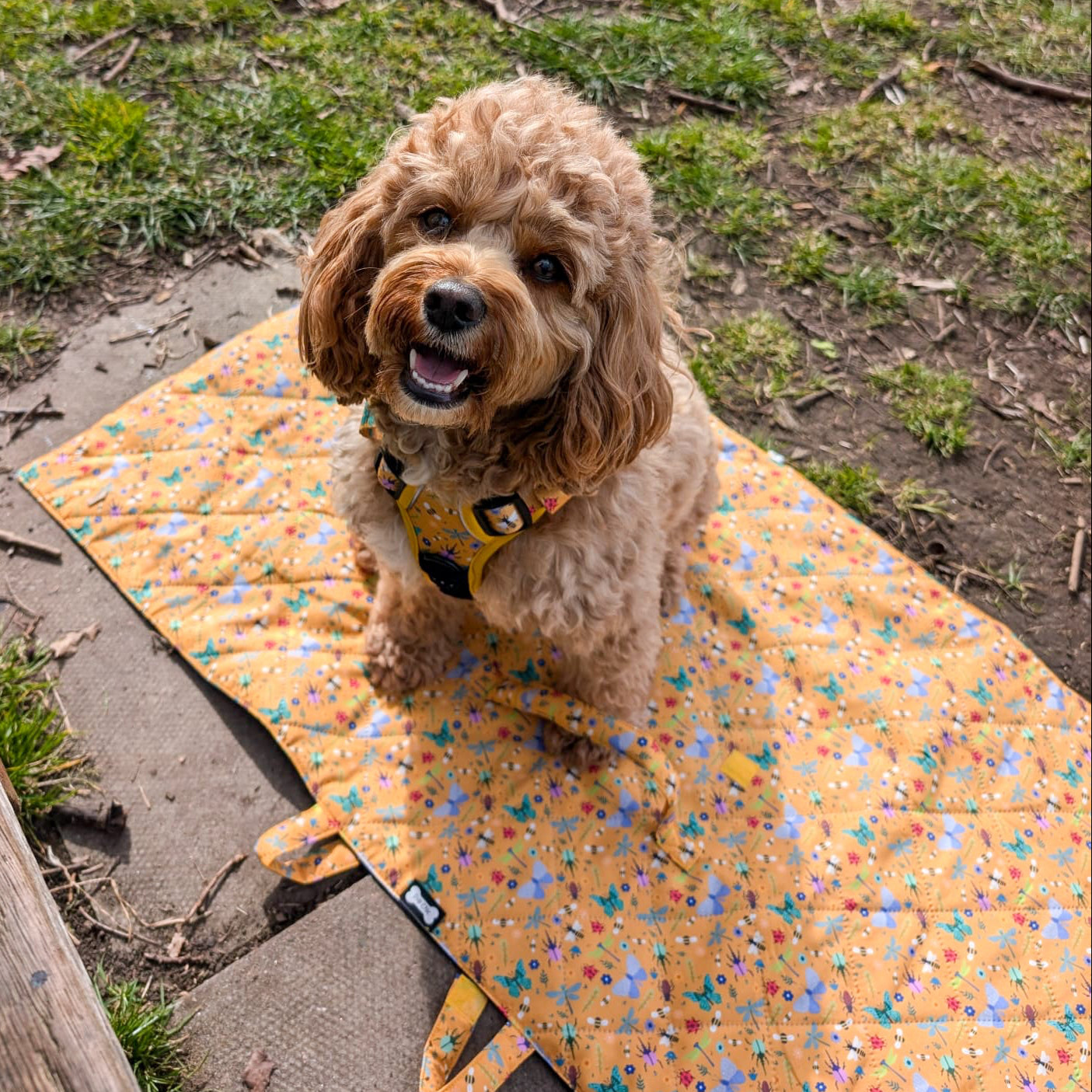 Summer Buzzin' Dog Settle Mat – Lightweight, Waterproof & Travel-Friendly | Shop Brit | UK Pet Shop | Pet Products