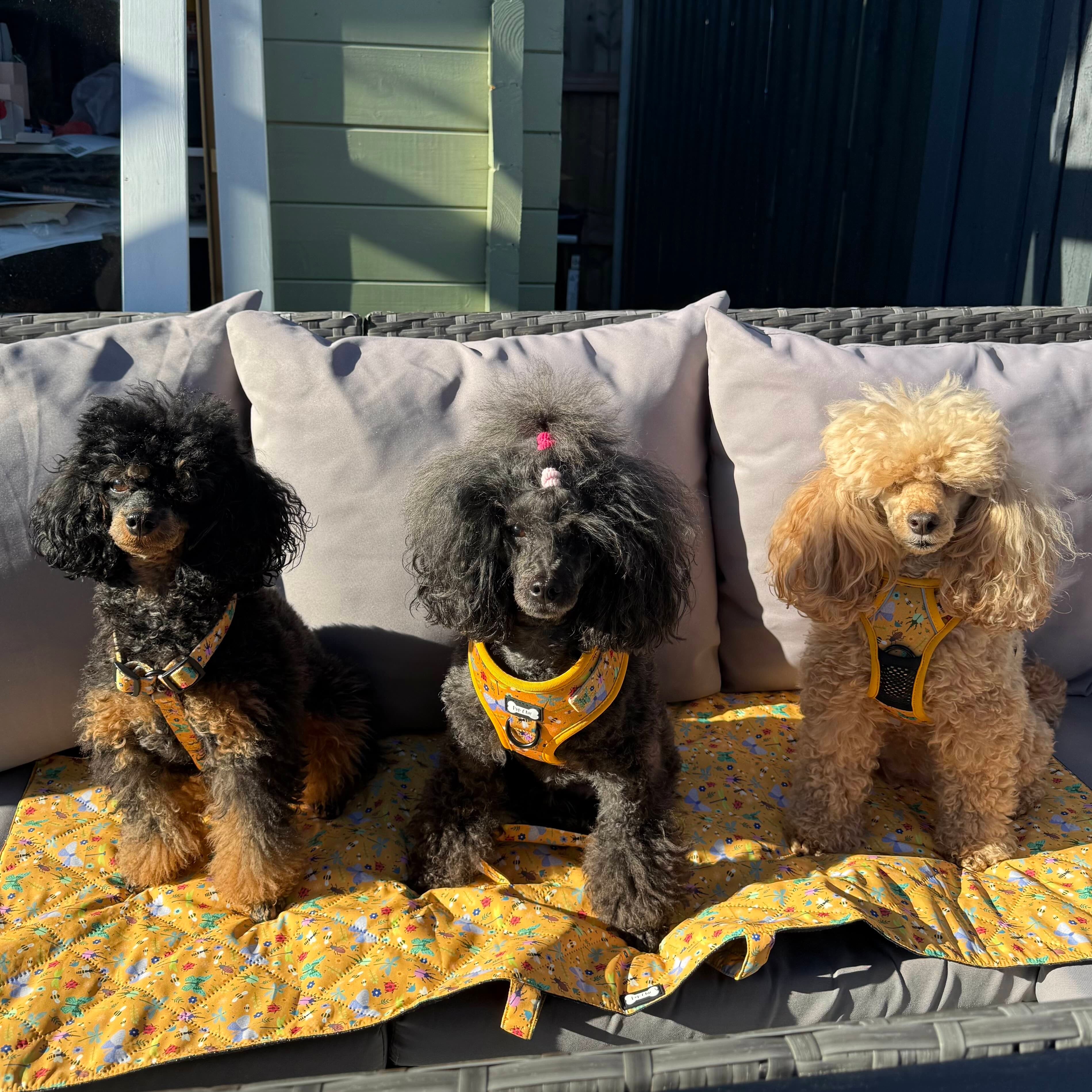 Summer Buzzin' Dog Settle Mat – Lightweight, Waterproof & Travel-Friendly | Shop Brit | UK Pet Shop | Pet Products