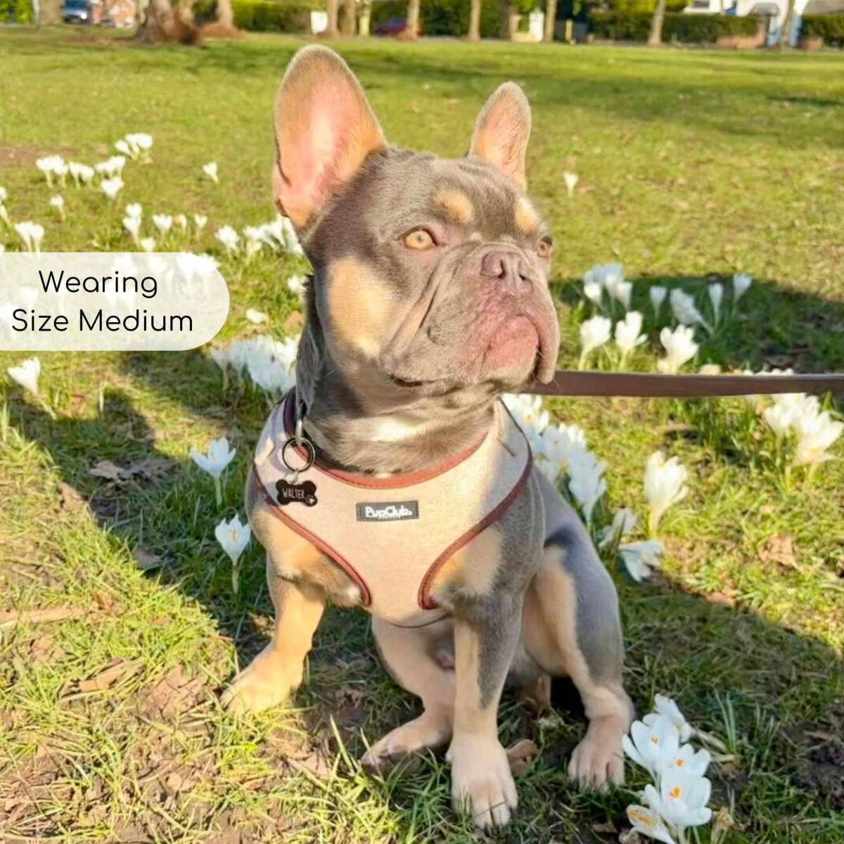 Tweed Adjustable Harness - Brown