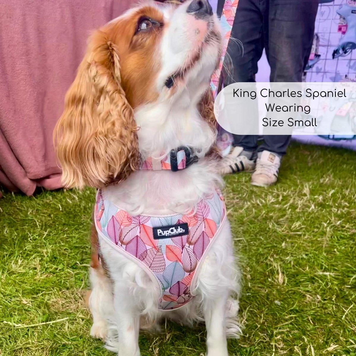 Adjustable Harness - Autumn Breeze | Shop Brit | UK Pet Shop | Adjustable Dog Harness