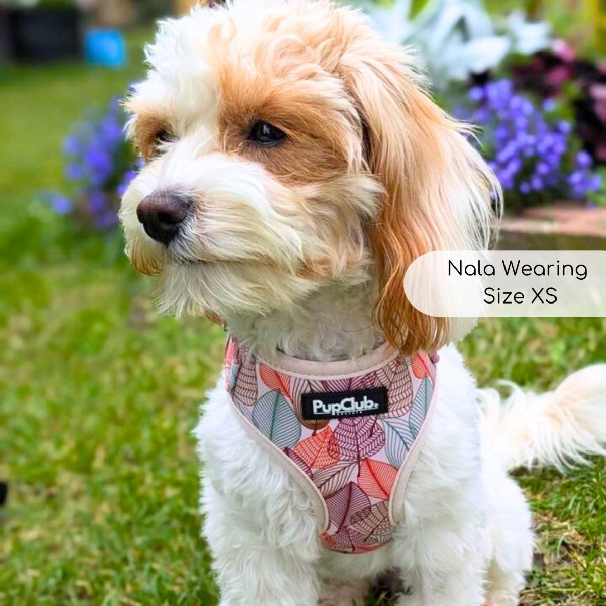 Adjustable Harness - Autumn Breeze | Shop Brit | UK Pet Shop | Adjustable Dog Harness