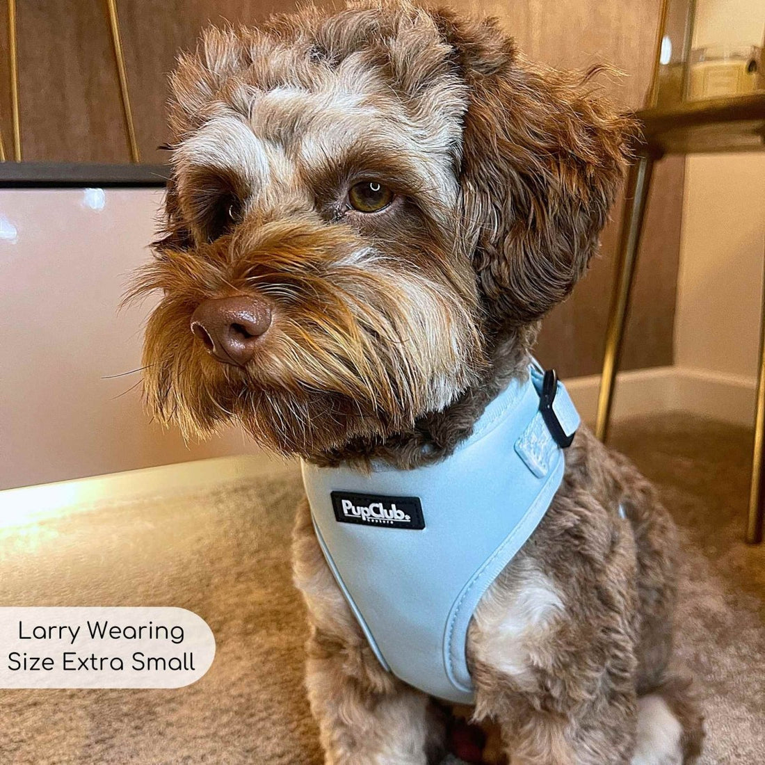 Adjustable Harness - Pastel Blue