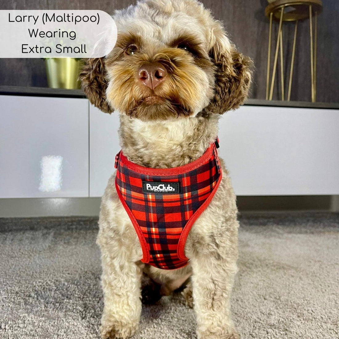 Adjustable Harness - Red Tartan