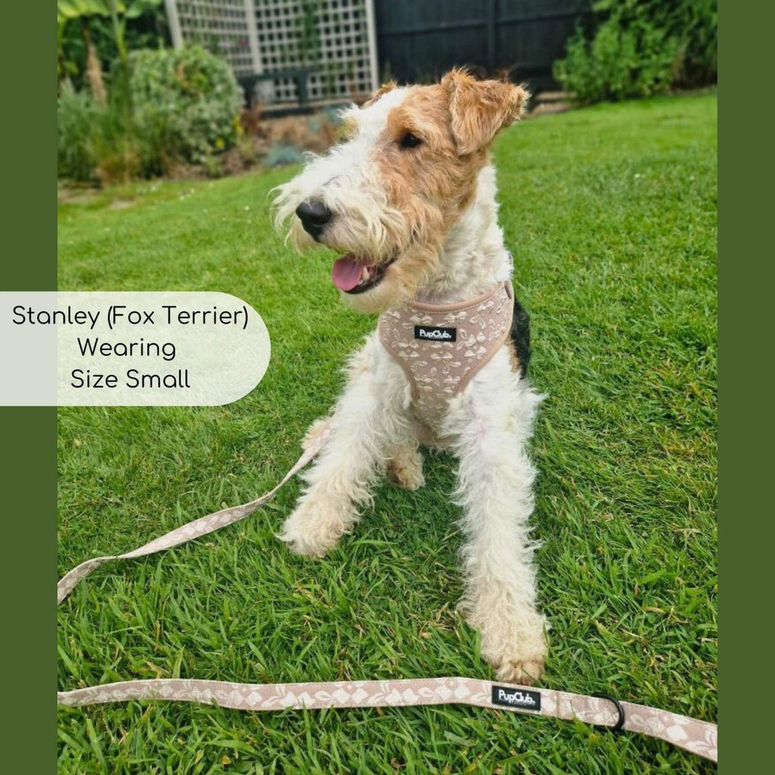 Luxe Adjustable Harness - Toffee Latte Petals