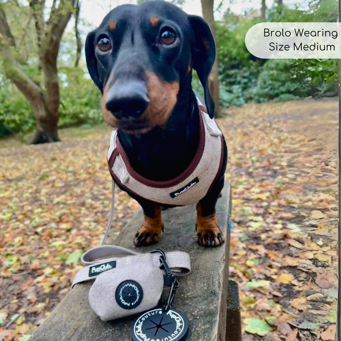 Tweed Adjustable Harness - Brown