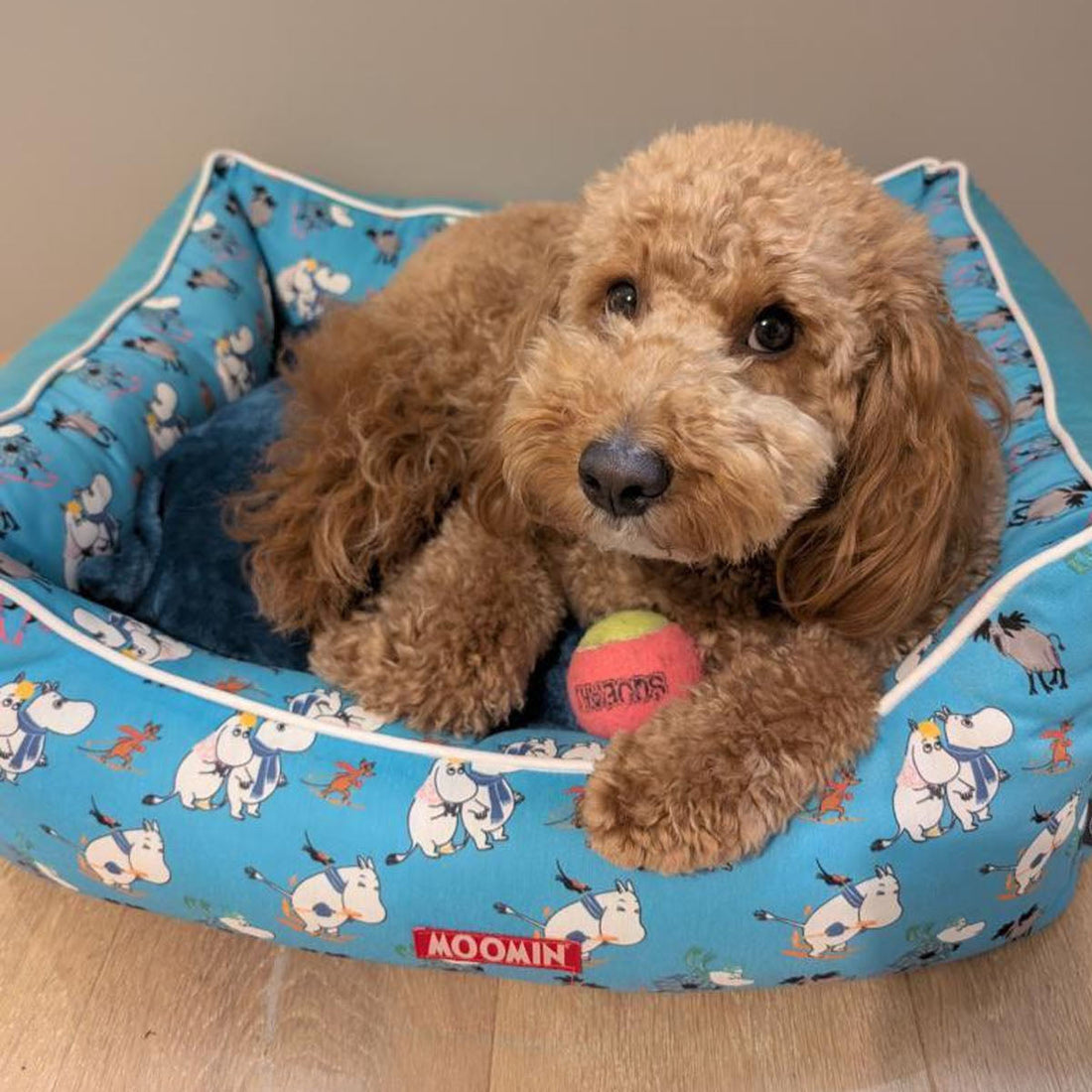 Moomins Blue Ski Holidays Bed by SohoPoms | Shop Brit | UK Pet Shop | Dog Beds