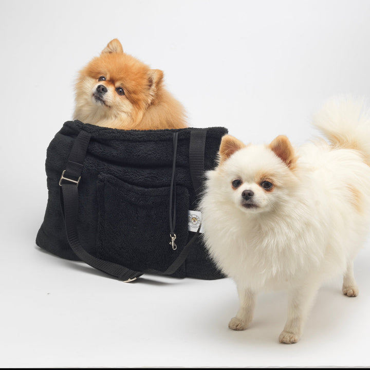 Soho Poms Forest Black Teddy Bear Dog Carrier | Shop Brit | UK Pet Shop | Dog Carrier