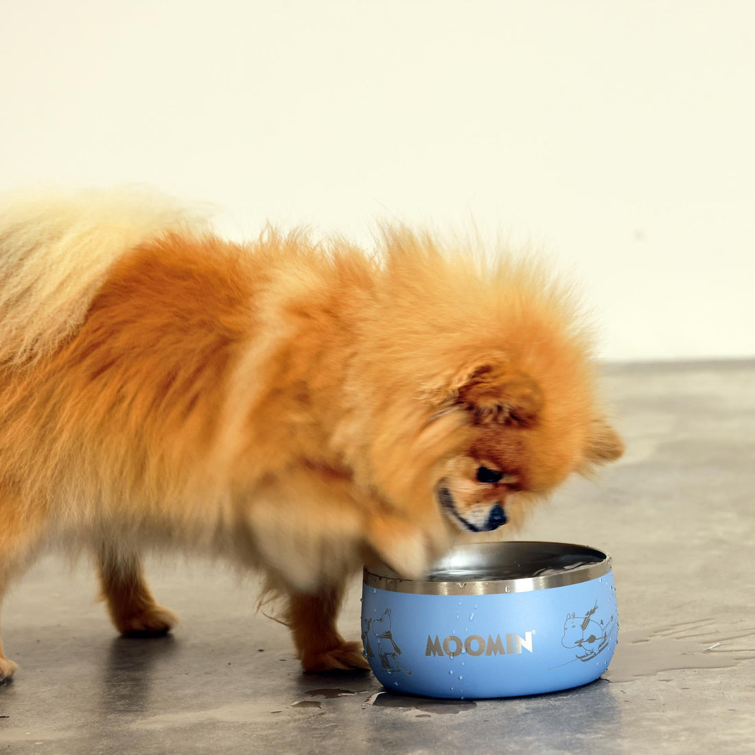 Moomins Blue Lunar Bowl by SohoPoms | Shop Brit | UK Pet Shop | Dog Bowls