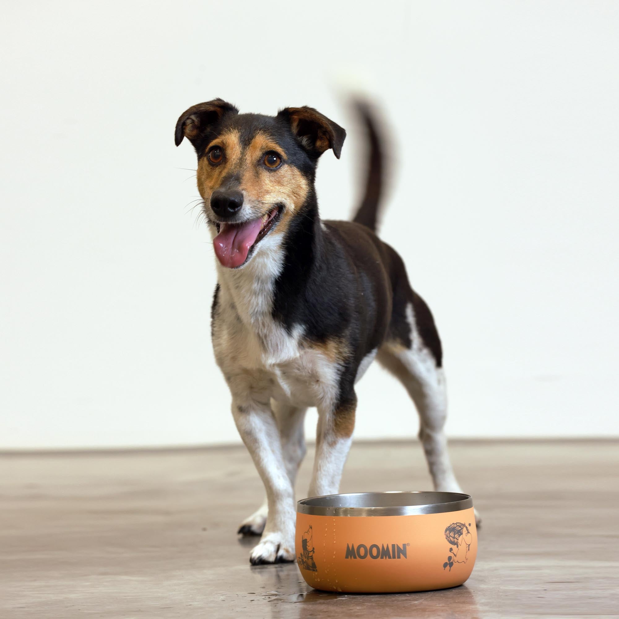 Moomins Peach Lunar Bowl by SohoPoms | Shop Brit | UK Pet Shop | Dog Bowls