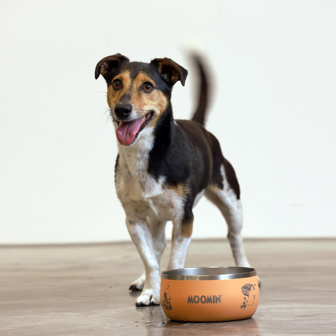 Moomins Peach Lunar Bowl by SohoPoms | Shop Brit | UK Pet Shop | Dog Bowls