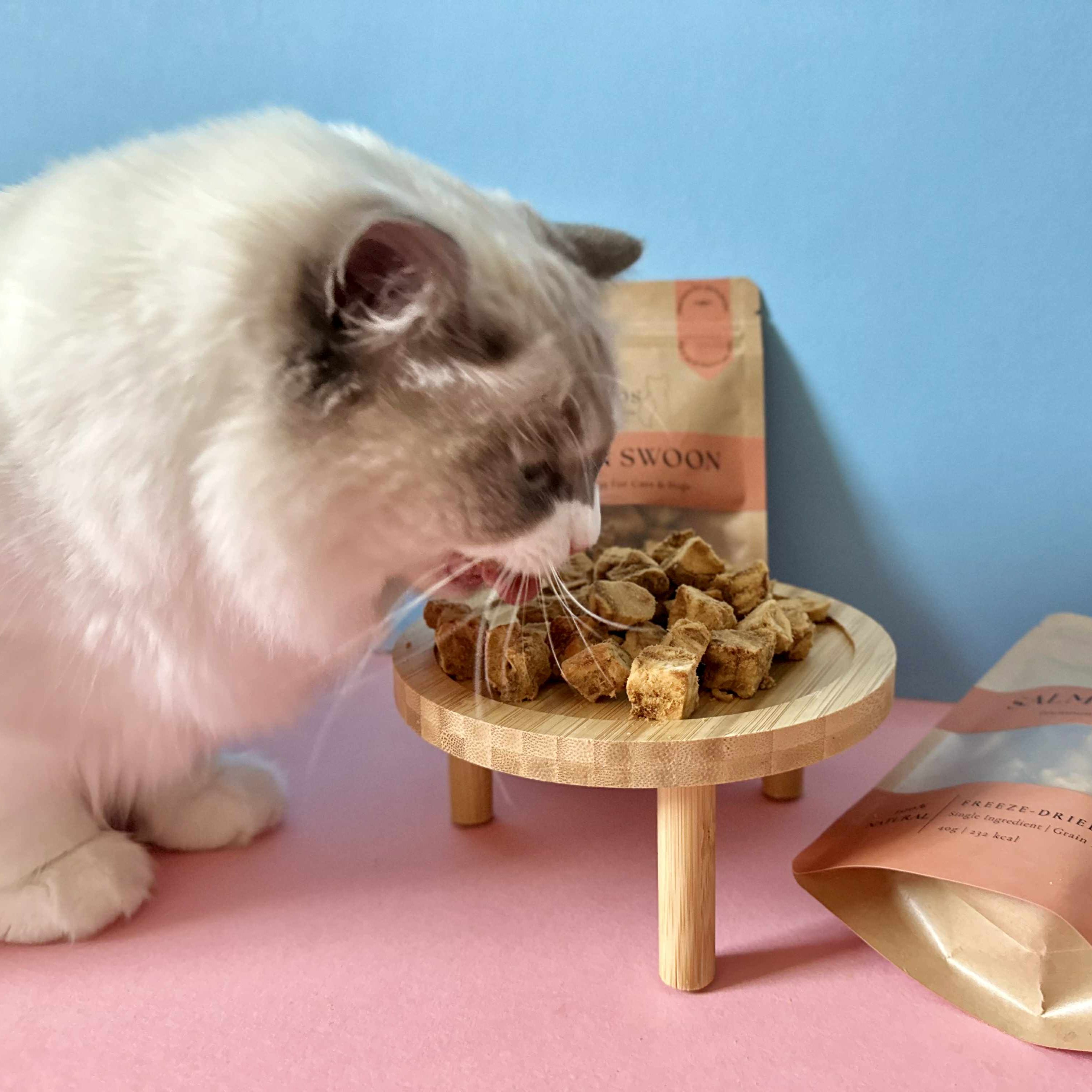 Salmon Swoon - 100% Freeze-Dried Salmon Treats | Pure & Natural | Tail Tips UK | Shop Brit | UK Pet Shop | 