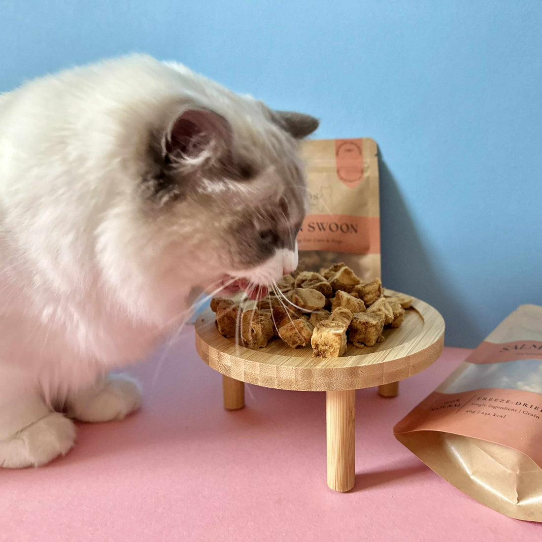 Salmon Swoon - 100% Freeze-Dried Salmon Treats | Pure & Natural | Tail Tips UK | Shop Brit | UK Pet Shop | 