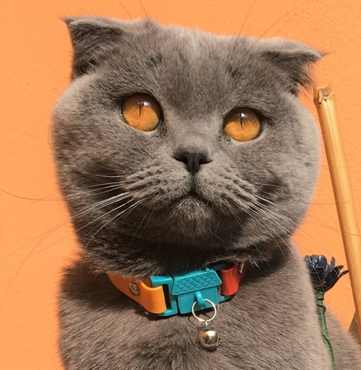 KITTYRAMA COPACABANA CAT COLLAR - Quick Release, Breakaway, Hypoallergenic | Shop Brit | UK Pet Shop | Cat Supplies