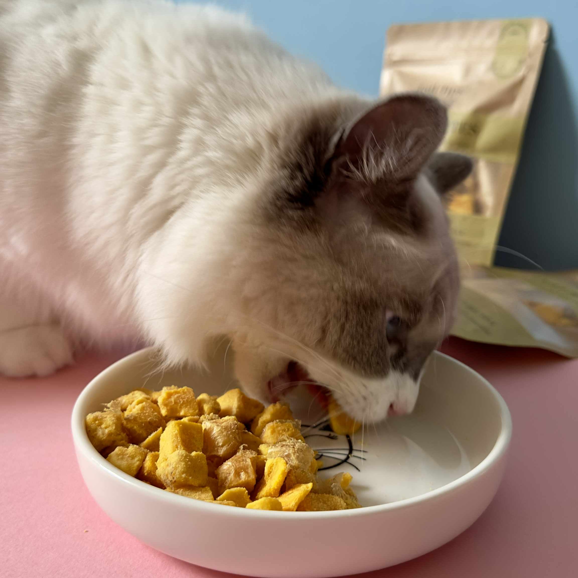 Yolky Bites - 100% Freeze-Dried Egg Yolk Treats | Pure Protein | Tail Tips UK | Shop Brit | UK Pet Shop | 