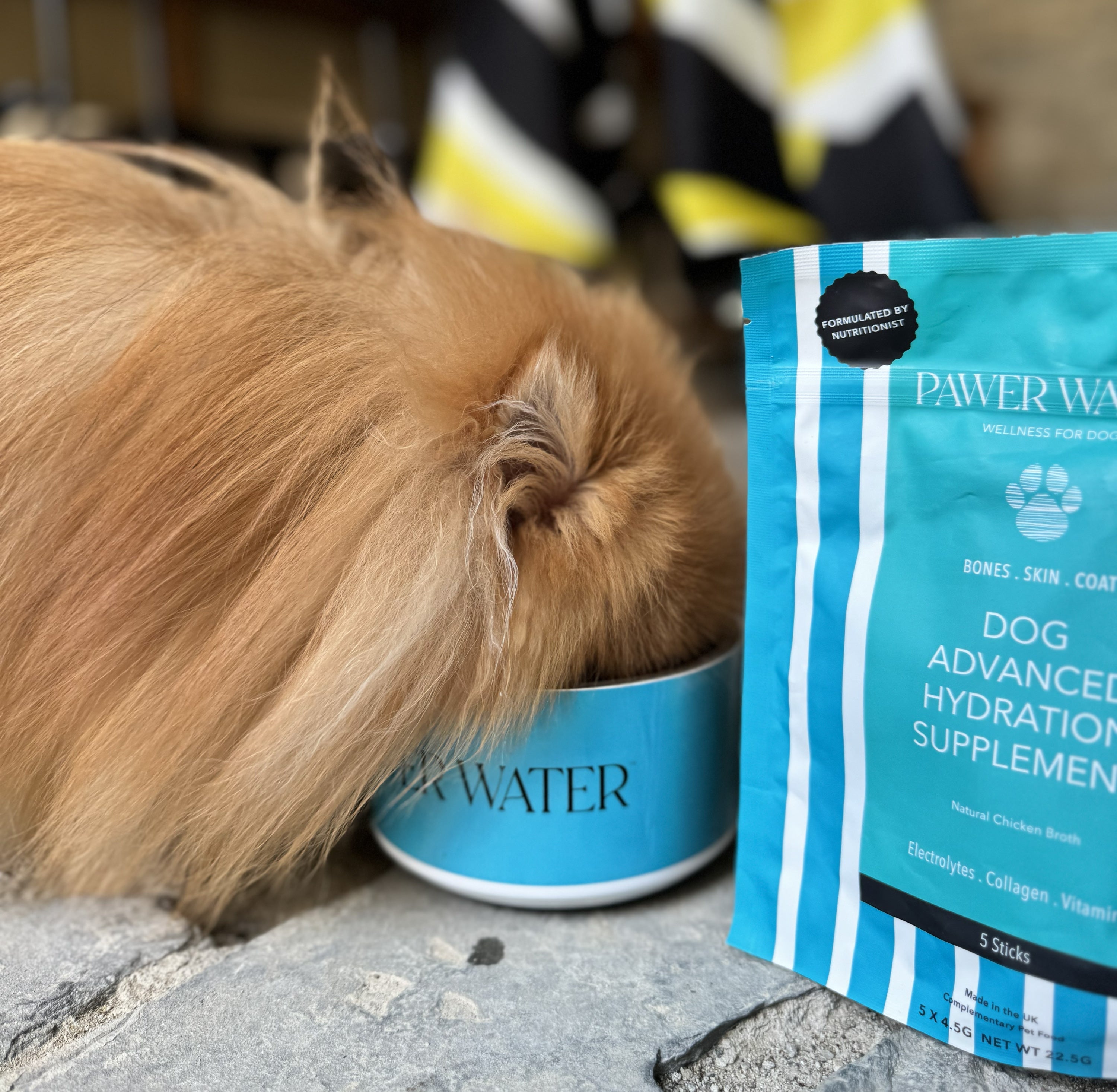 The Starter Pack | Shop Brit | UK Pet Shop | 