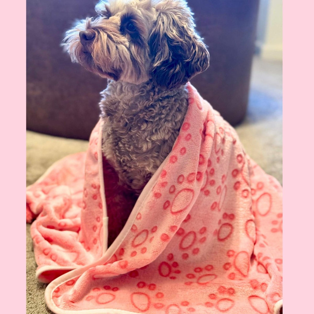 Dog Blanket - Pink Paws