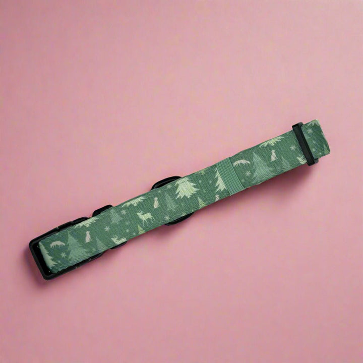 Collar - Evergreen Trails