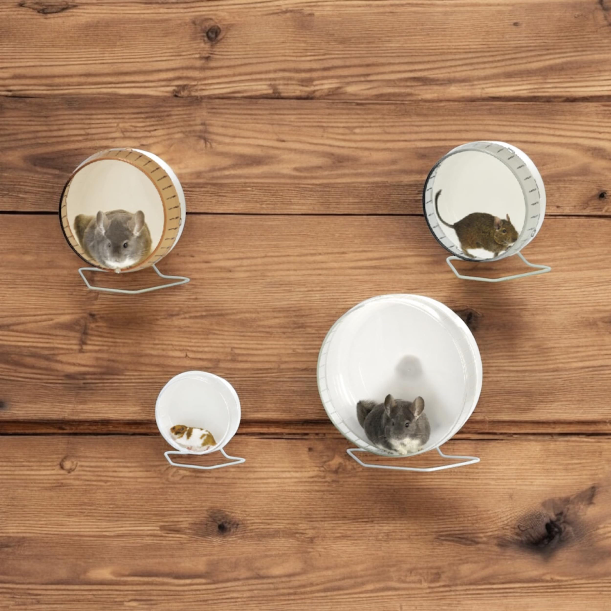 LillipHut Silent Wheel Flat | Shop Brit | UK Pet Shop | Small Pet Accessories