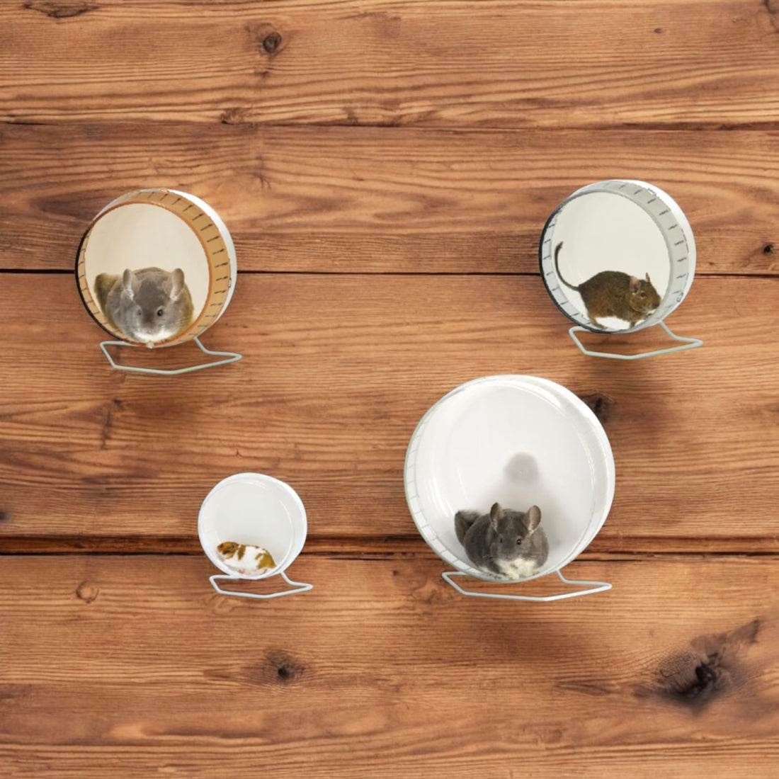 LillipHut Silent Wheel Flat | Shop Brit | UK Pet Shop | Small Pet Accessories