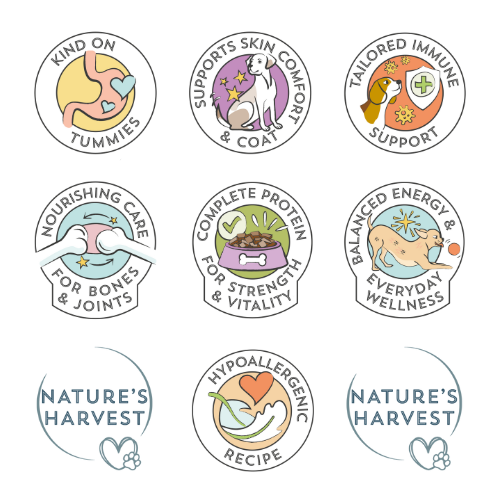 Chicken & Vegetables with Brown Rice - Senior | Shop Brit | UK Pet Shop | Wet Dog Food