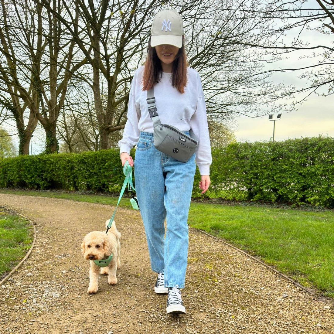 Dog Walking Bum Bag - Grey