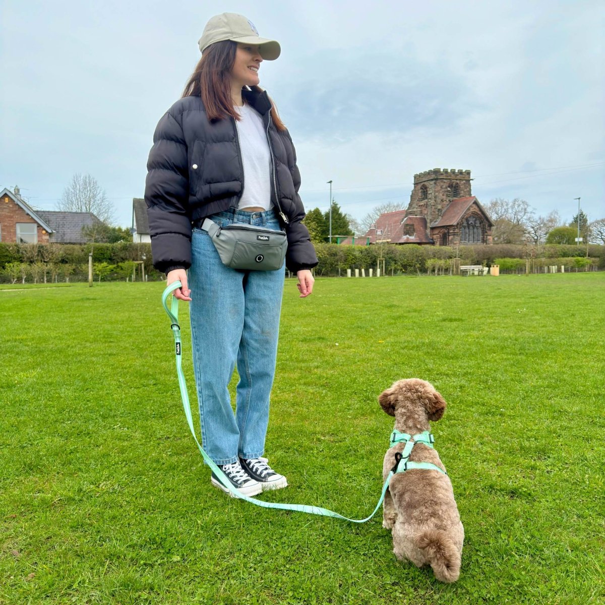 Dog Walking Bum Bag - Grey
