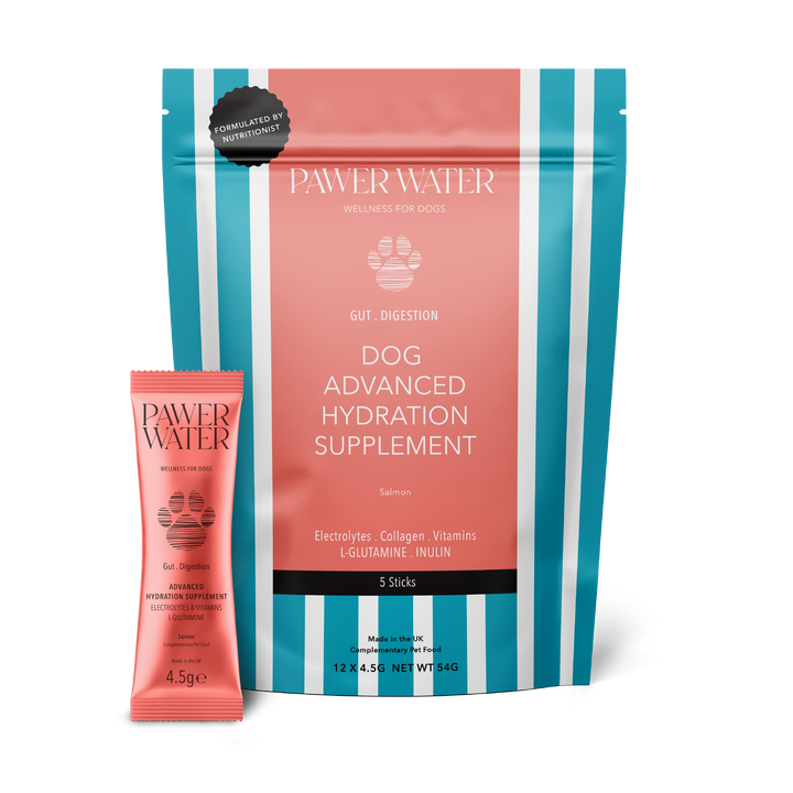 Pawer Water Gut Support (5-sticks Pouch) | Shop Brit | UK Pet Shop | 