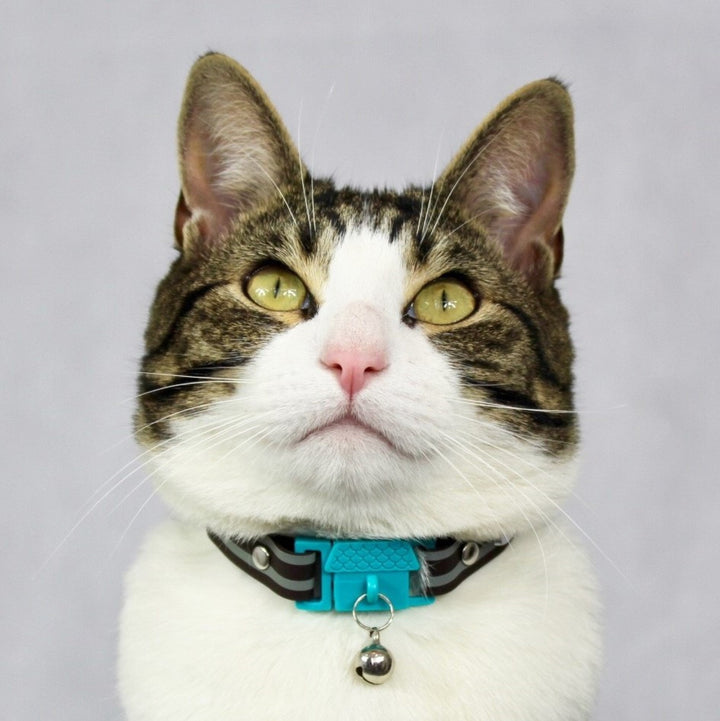 KITTYRAMA HAVANA CAT COLLAR - Quick Release, Breakaway, Hypoallergenic | Shop Brit | UK Pet Shop | Cat Supplies