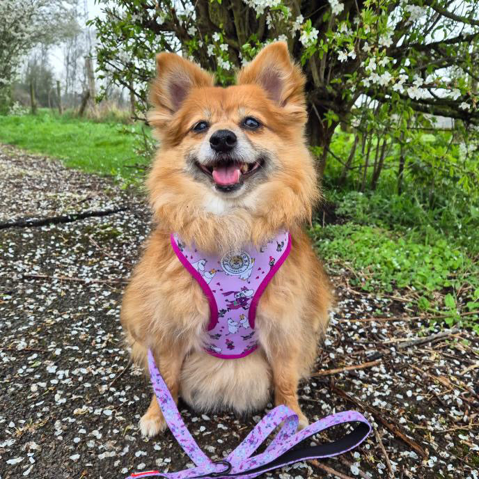 Moomins Pink Champagne Dog Lead by Soho Poms | Shop Brit | UK Pet Shop | Dog Lead