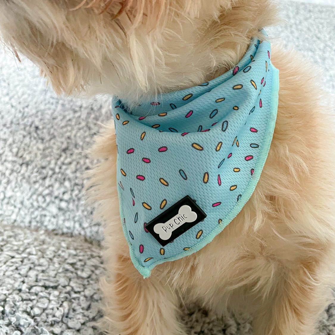Sprinkles For Days Cooling Bandana - Blue | Shop Brit | UK Pet Shop | Pet Products