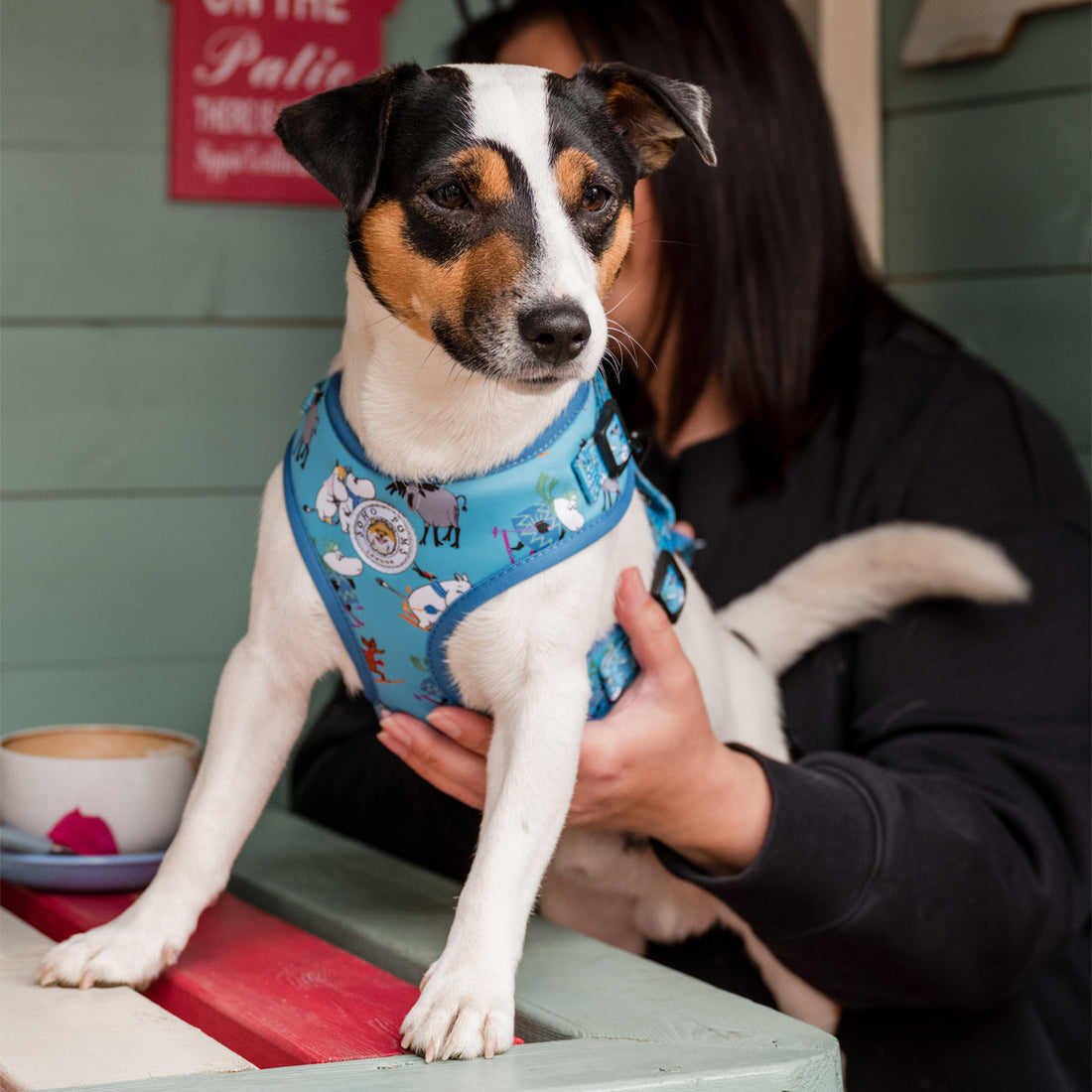 Moomins Blue Holiday Dogs Padded Harness by Soho Poms | Shop Brit | UK Pet Shop | Dog Harnesses