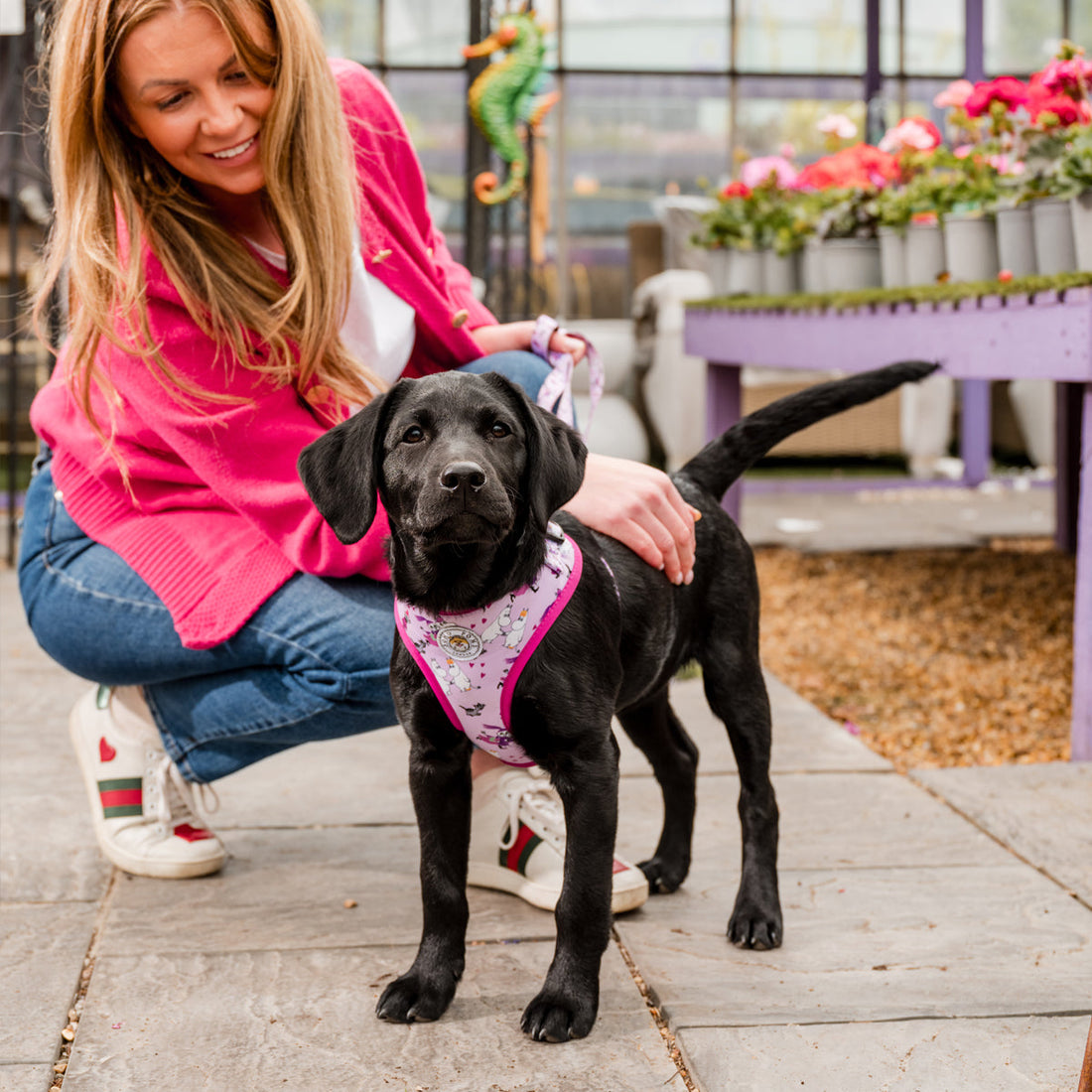 Moomins Pink Champagne Dogs Padded Harness by Soho Poms | Shop Brit | UK Pet Shop | Dog Harnesses