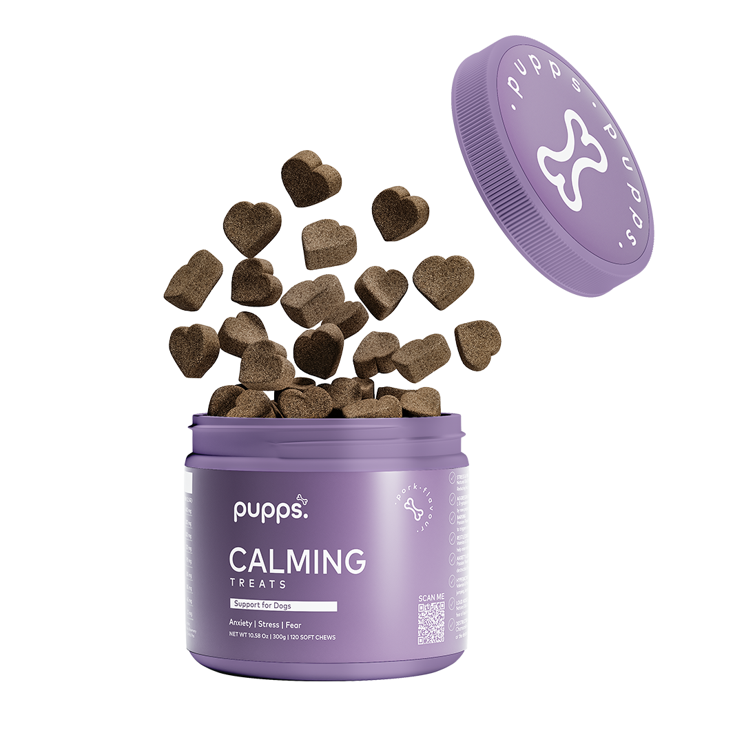 Pupps Calming Treats for Dogs | Natural Anxiety & Stress Relief Chews with Chamomile, Valerian & Hemp – UK Made