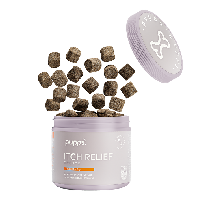 Itch Relief Treats | Shop Brit | UK Pet Shop | Itch Relief Treats