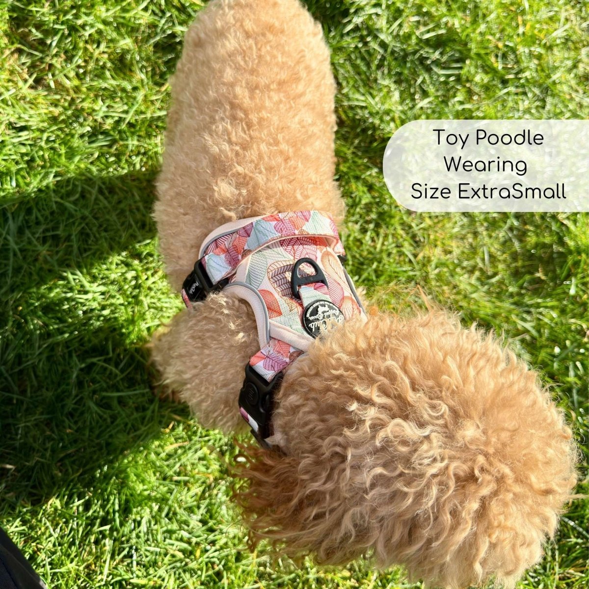 Rugged Rover™ Harness - Autumn Breeze | Shop Brit | UK Pet Shop | Rugged Rover Dog Harness