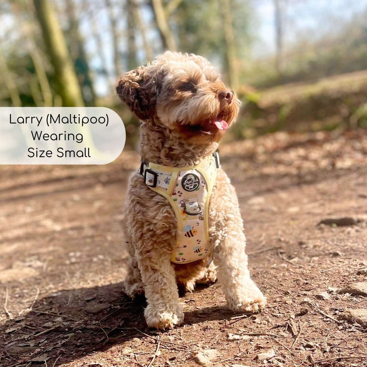 Rugged Rover™ Harness - Bee-utiful Summer | Shop Brit | UK Pet Shop | Rugged Rover Dog Harness