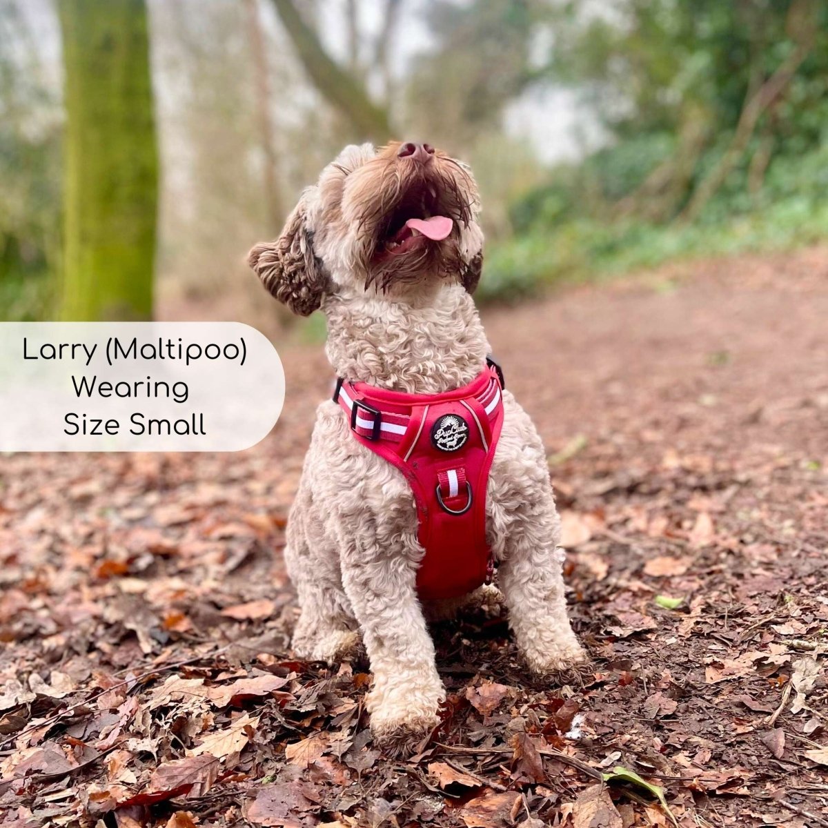 Rugged Rover™ Harness - Berry Red | Shop Brit | UK Pet Shop | Rugged Rover Dog Harness