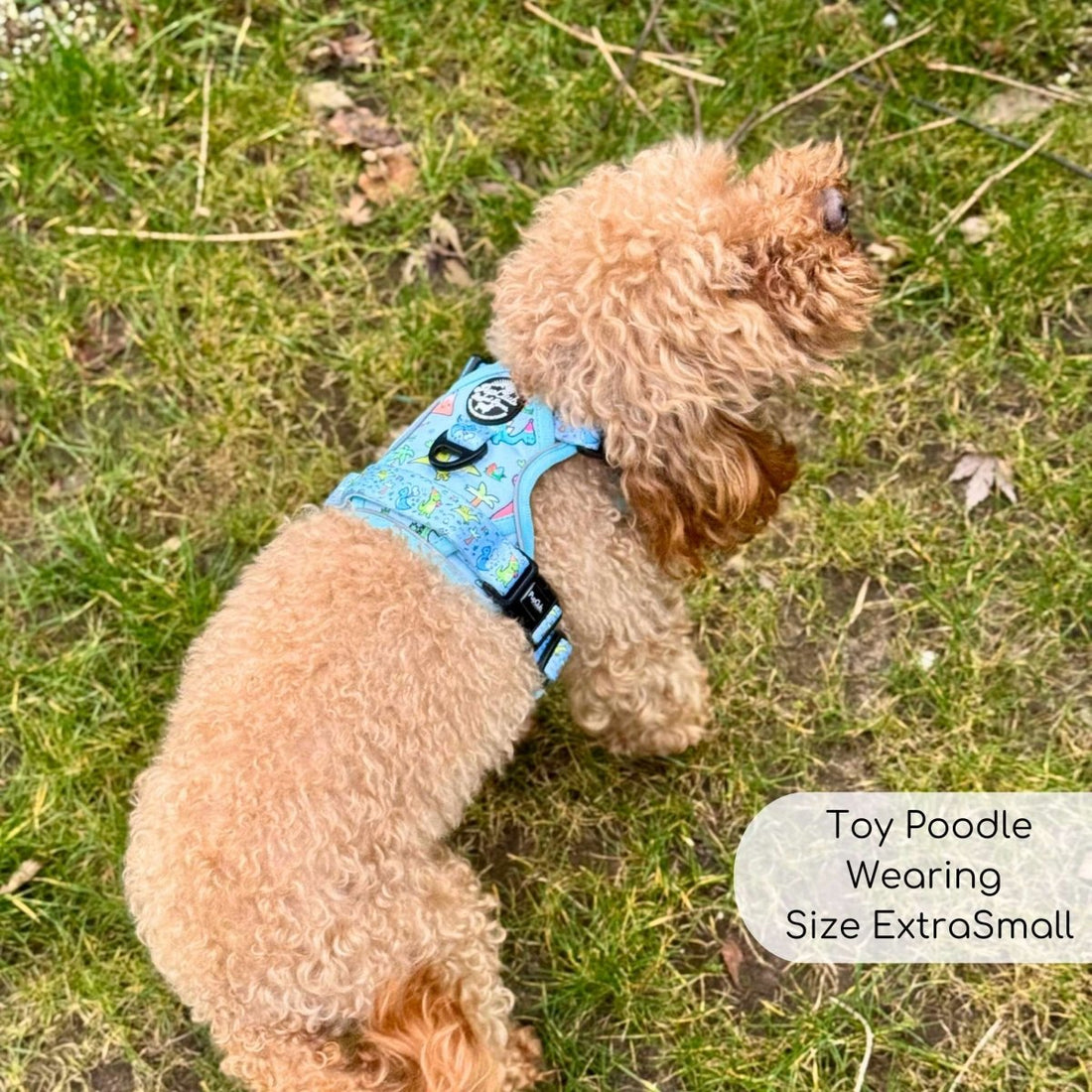 Rugged Rover™ Harness - Jurassic Party