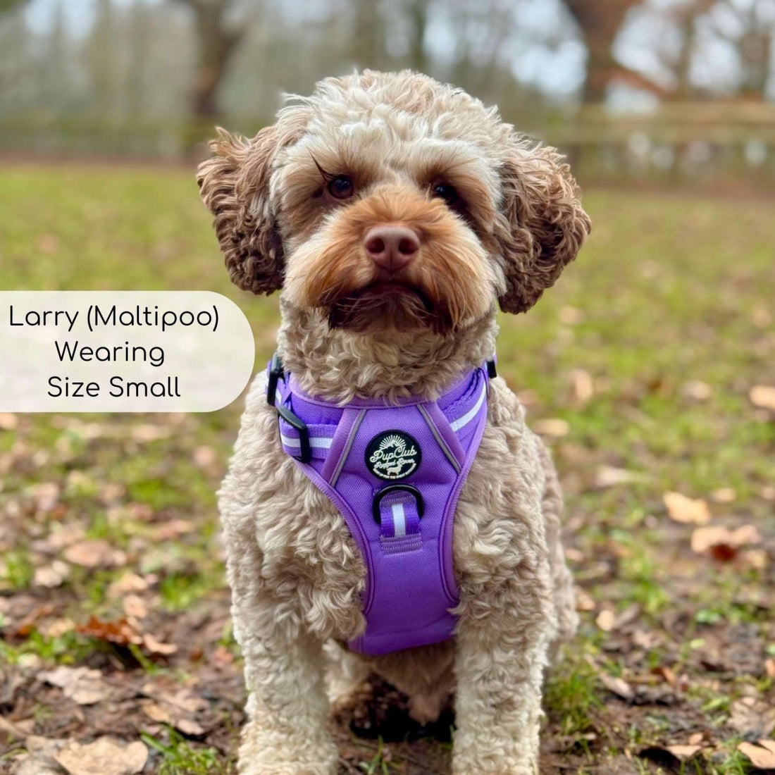 Rugged Rover™ Harness - Lilac Blush | Shop Brit | UK Pet Shop | Rugged Rover Dog Harness