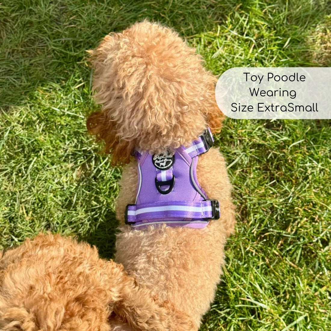 Rugged Rover™ Harness - Lilac Blush | Shop Brit | UK Pet Shop | Rugged Rover Dog Harness