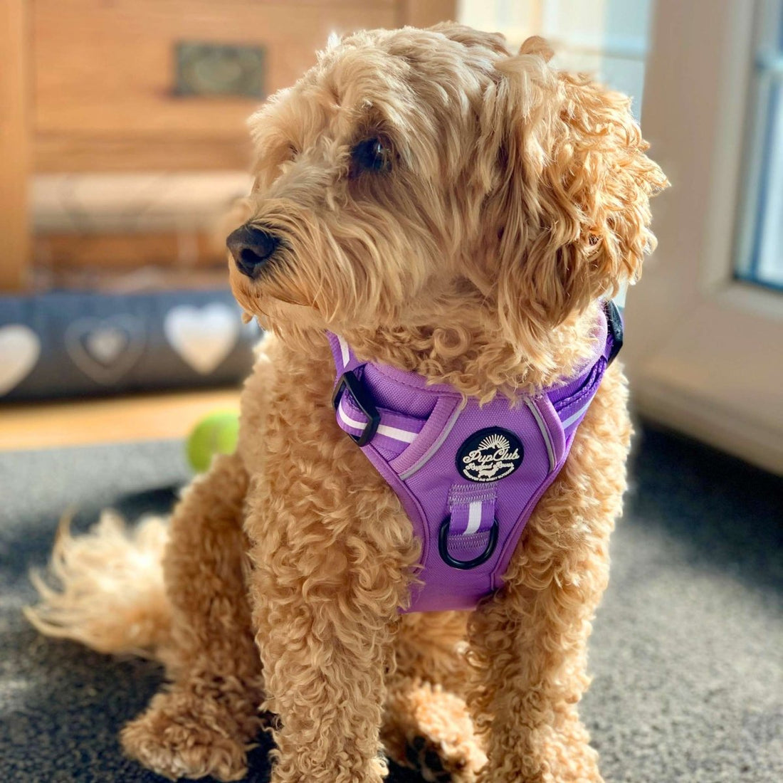 Rugged Rover™ Harness - Lilac Blush | Shop Brit | UK Pet Shop | Rugged Rover Dog Harness