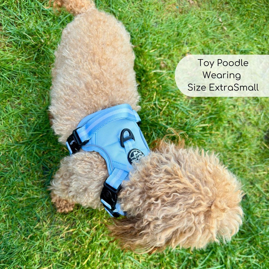 Rugged Rover™ Harness - Pastel Blue | Shop Brit | UK Pet Shop | Rugged Rover Dog Harness