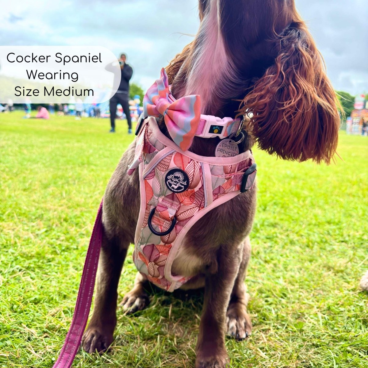 Rugged Rover™ Harness - Autumn Breeze | Shop Brit | UK Pet Shop | Rugged Rover Dog Harness