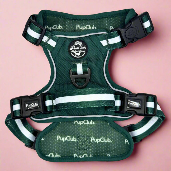 Rugged Rover™ Harness - Forest Green | Shop Brit | UK Pet Shop | Rugged Rover Dog Harness