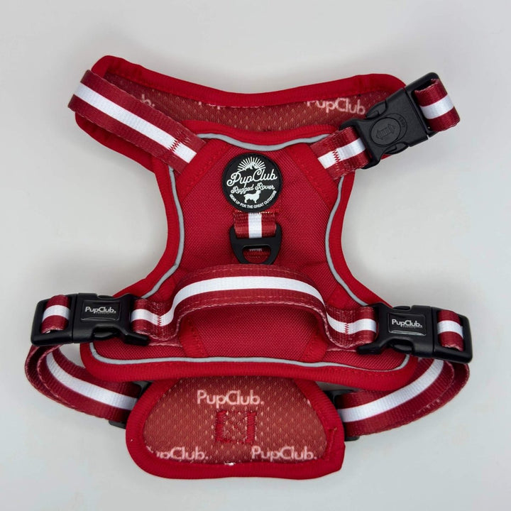 Rugged Rover™ Harness - Berry Red | Shop Brit | UK Pet Shop | Rugged Rover Dog Harness