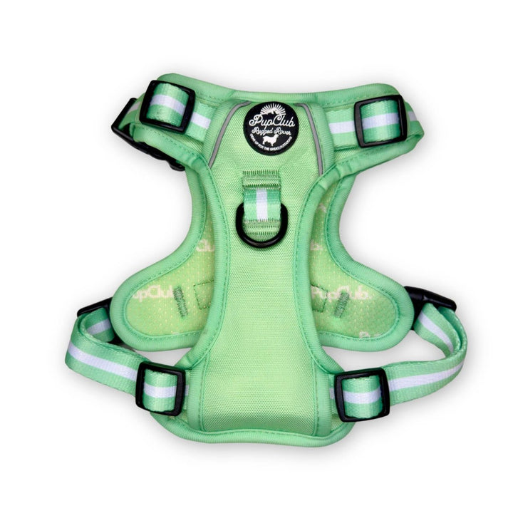 Rugged Rover™ Harness - Pastel Mint Green | Shop Brit | UK Pet Shop | Rugged Rover Dog Harness